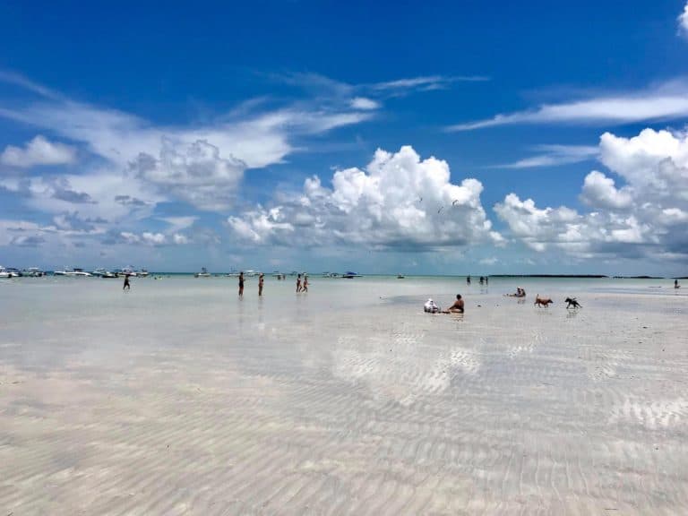 Spend a day like a local, at the Sandbar!
